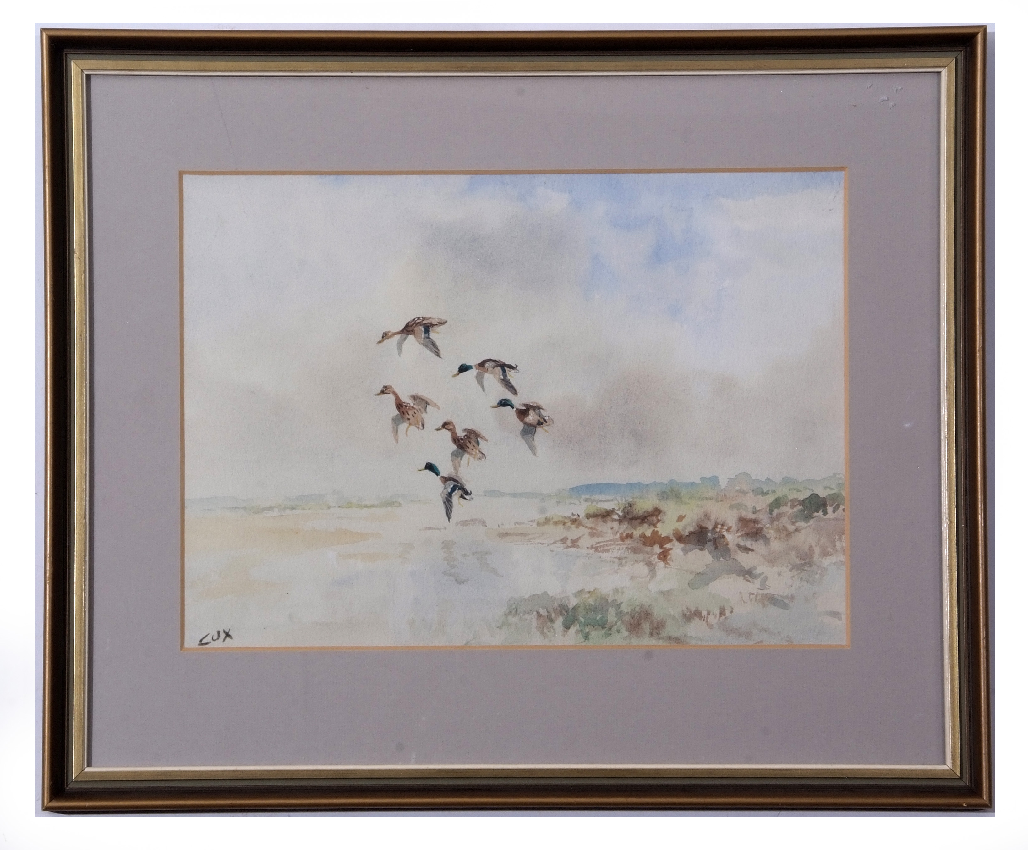 AR Jack Cox (1914-2007), Mallard alighting, watercolour, signed lower left, 23 x 33cm - Image 2 of 2