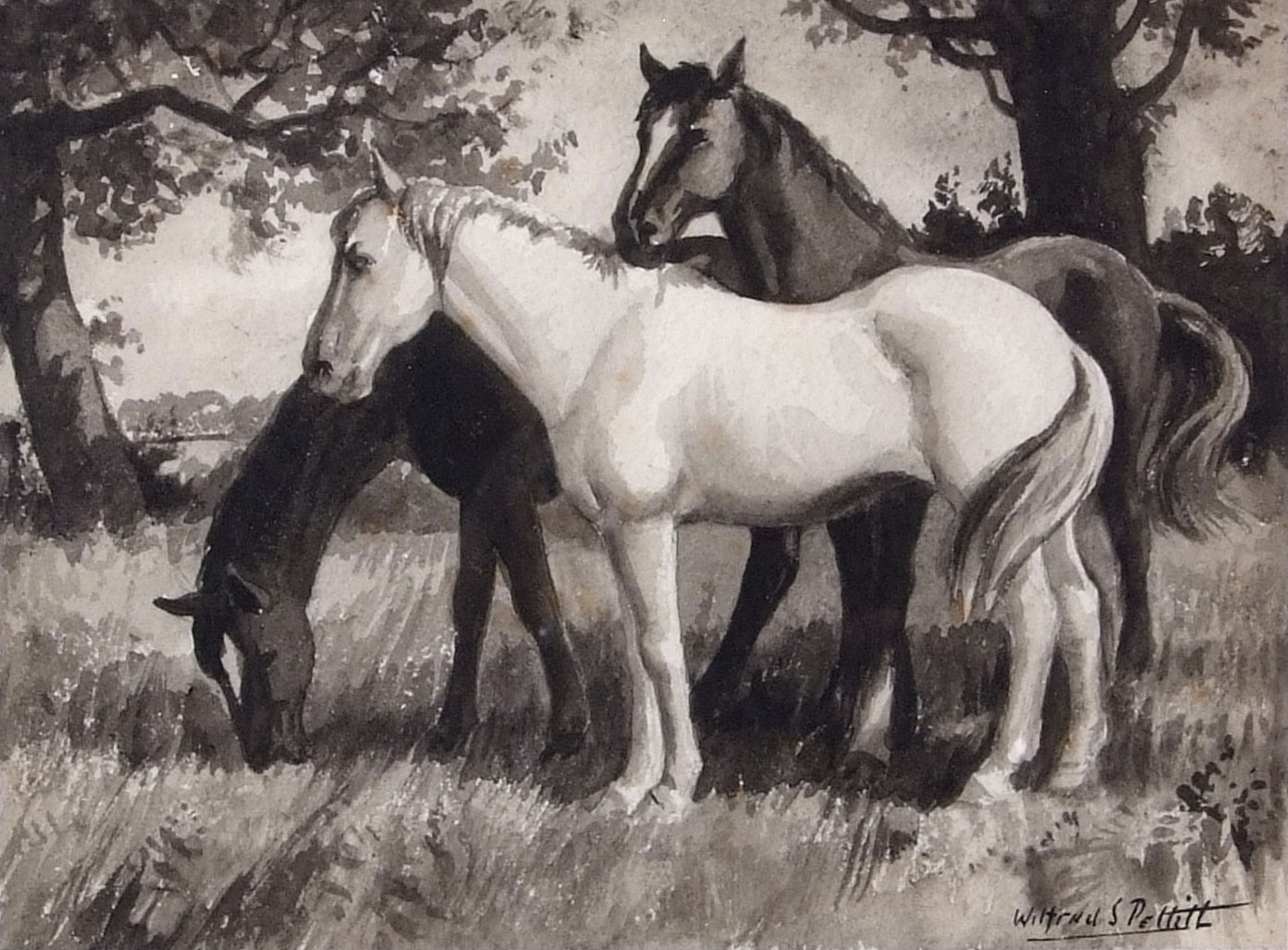 AR Wilfred Stanley Pettitt (1904-1978), Horses grazing, monotone watercolour, signed lower right,