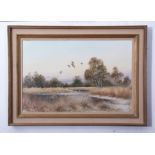 AR Peter J Rowles Chapman (contemporary), Ducks in flight over Filby Broad, oil on canvas, signed