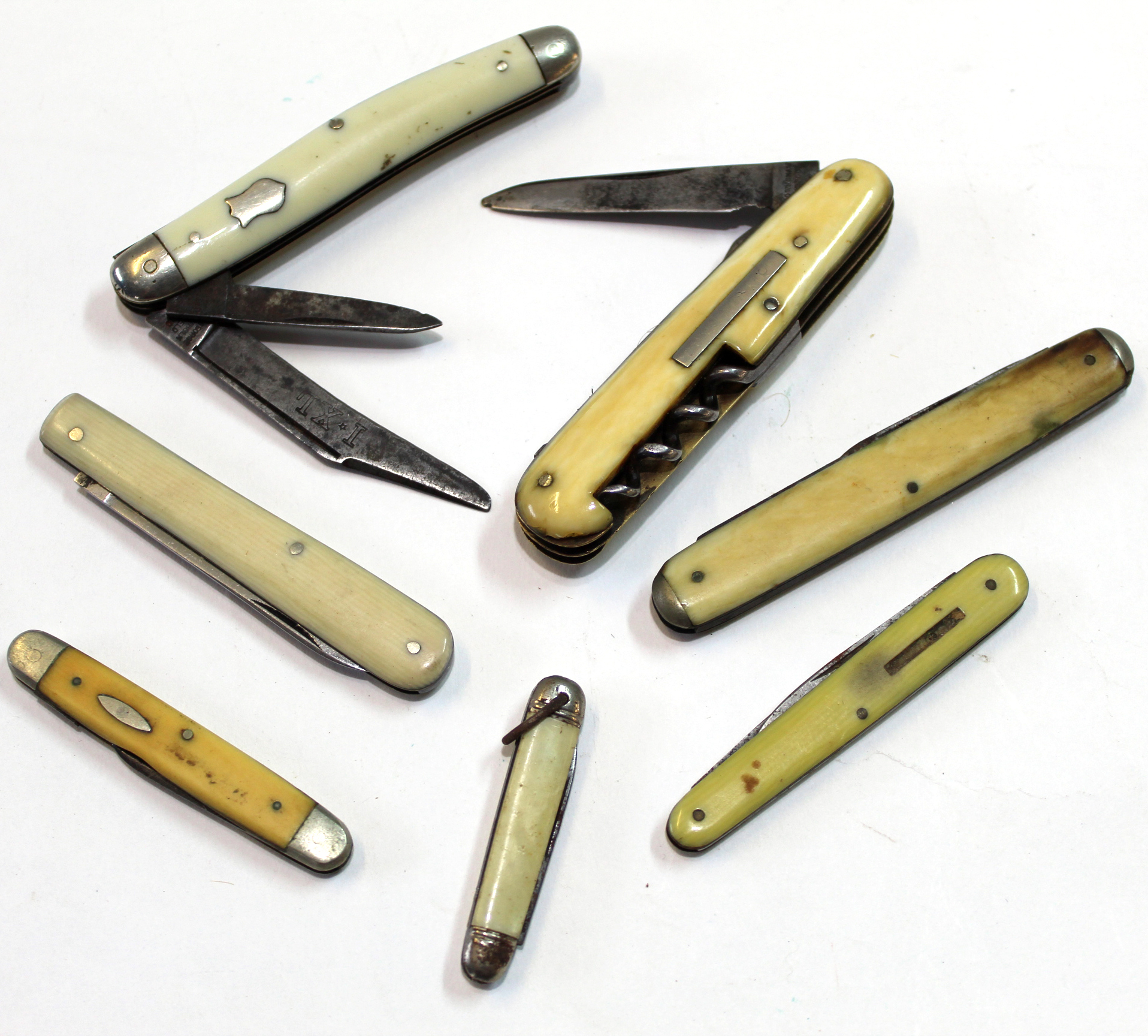 Seven various bone handled pocket knives - Image 2 of 2