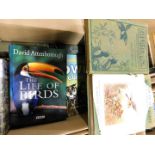 Box: books on owls, Birds one should know, The Life of Birds by David Attenborough etc
