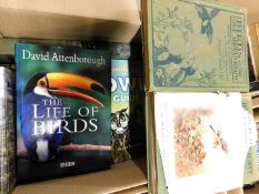 Box: books on owls, Birds one should know, The Life of Birds by David Attenborough etc