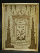 PERCY BYSSHE SHELLEY: THE SENSITIVE PLANT, intro Edmund Gosse, ill Charles Robinson, London, William