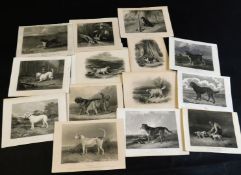 Accumulation of assorted 19th century engravings including shooting, hawking, equestrian, hunting