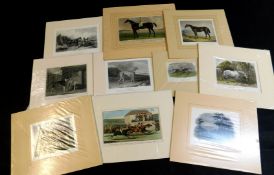 Approximately 40 circa 19th century assorted engravings including dogs/greyhounds + equestrian/horse