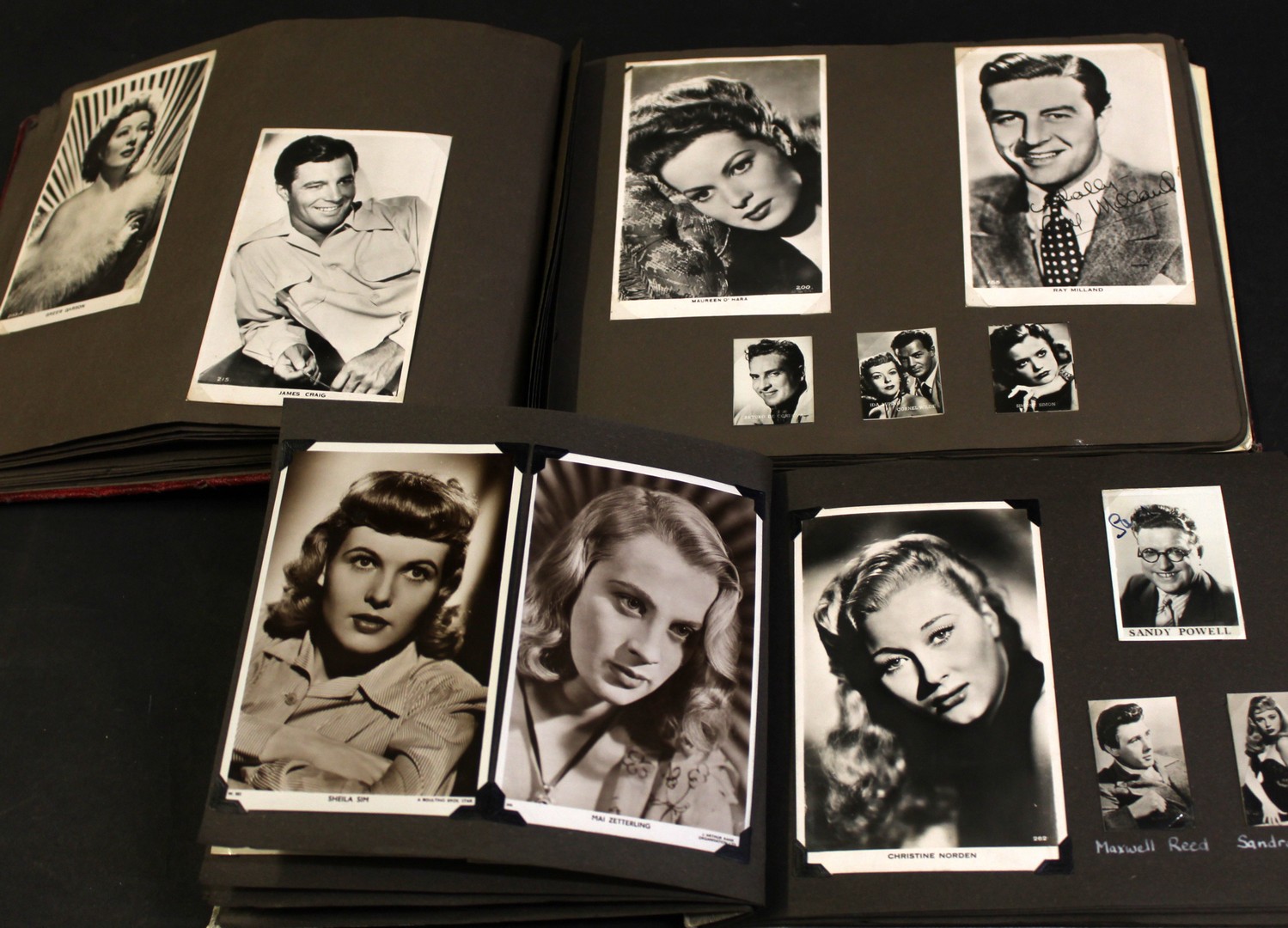 Two photograph albums containing Hollywood stars, some autographed including Glynis Johns, Dennis - Image 3 of 4