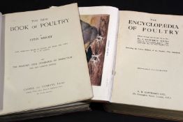 LEWIS WRIGHT: THE NEW BOOK OF POULTRY, London, Paris, New York and Melbourne, Cassell, 1905, 46