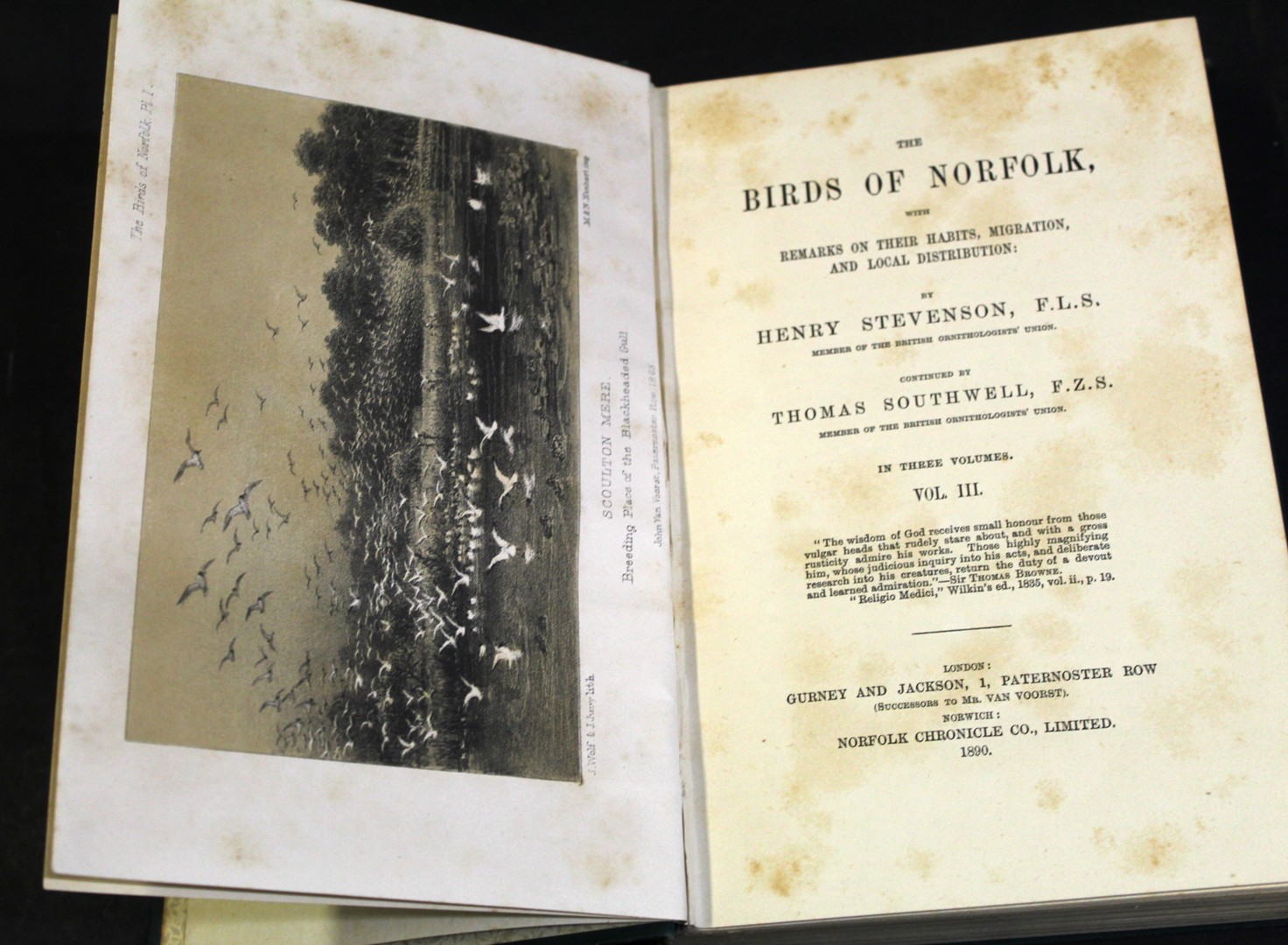 HENRY STEVENSON AND THOMAS SOUTHWELL: THE BIRDS OF NORFOLK, London and Norwich, 1866-90, 1st - Image 2 of 2