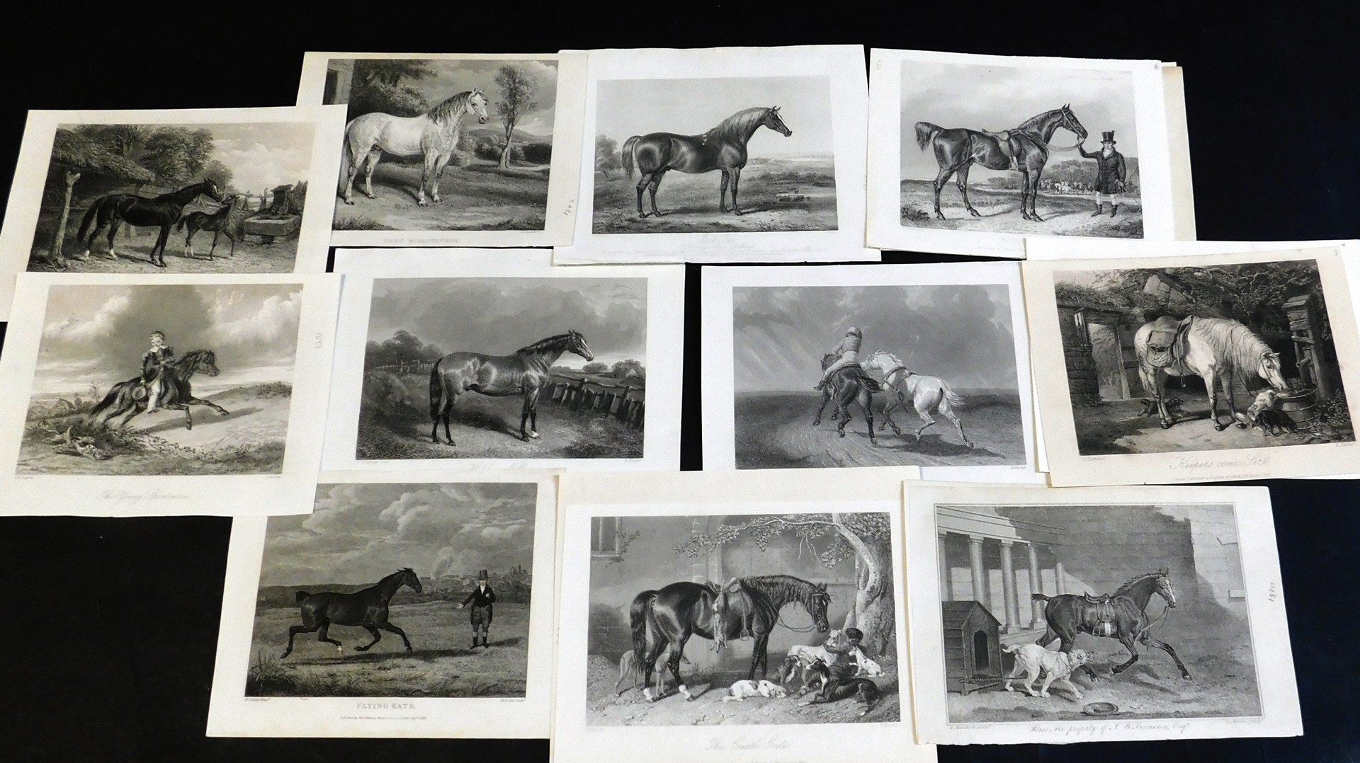 Small box: assorted 19th century engravings including equestrian, coaching, natural history,