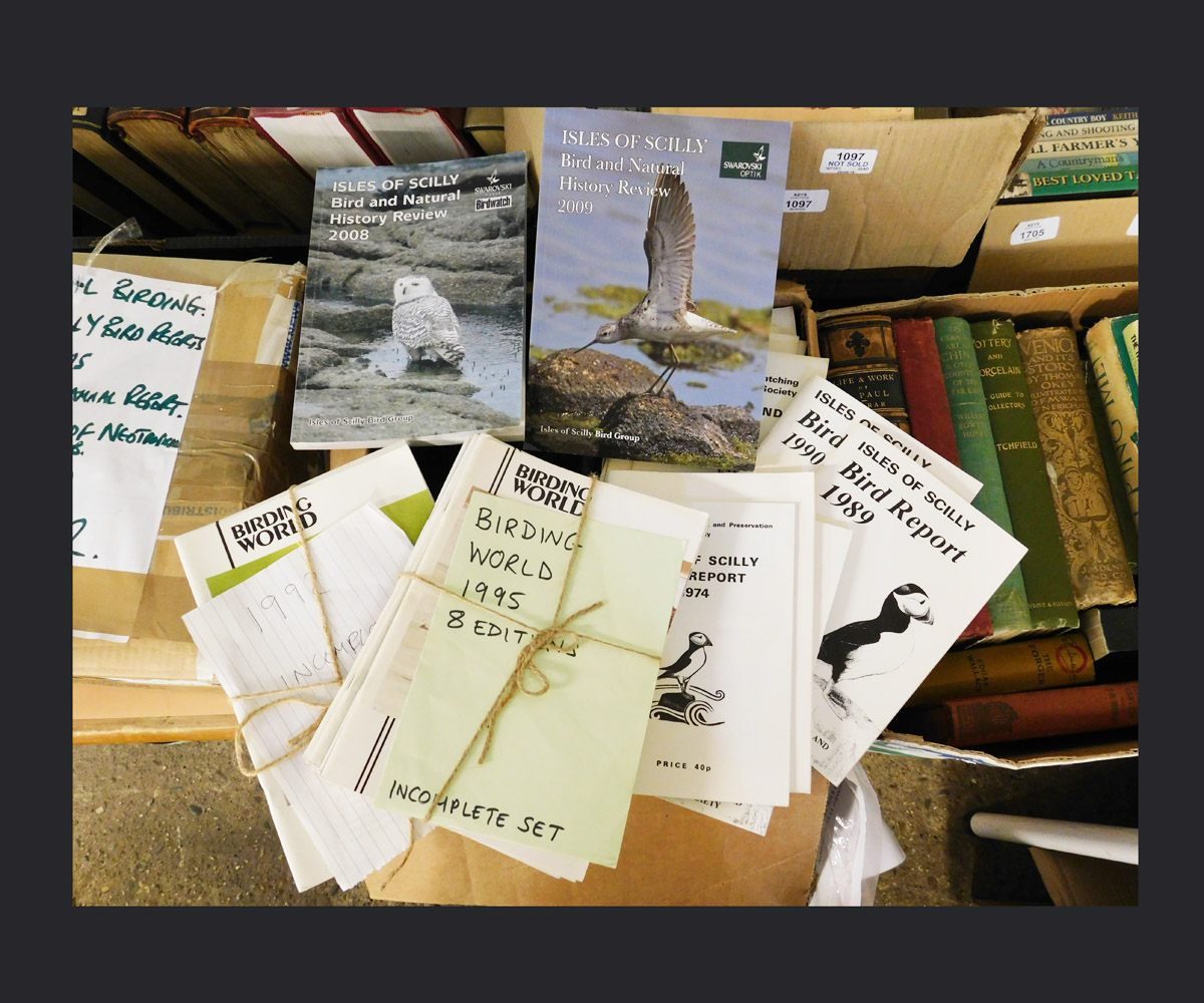 Two boxes: including NEO-TROPICAL BIRDING magazine, Autumn 2008-2014, ISLES OF SCILLY BIRD REPORTS