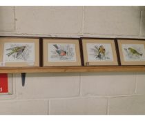 FOUR SIGNED PETER S CARTER ORNITHOLOGICAL PICTURES