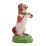 19th century Derby porcelain model of a begging dog on green base, 6cm high