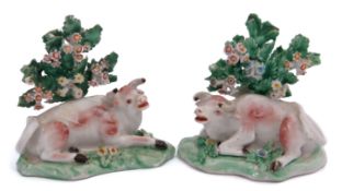 Two 18th century Derby models of bulls seated on green shaped bases with leafy bocage behind, 7cm