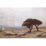 Alfred FitzWalter Grace (1844-1903) Extensive landscape with figures and sheep watercolour, signed