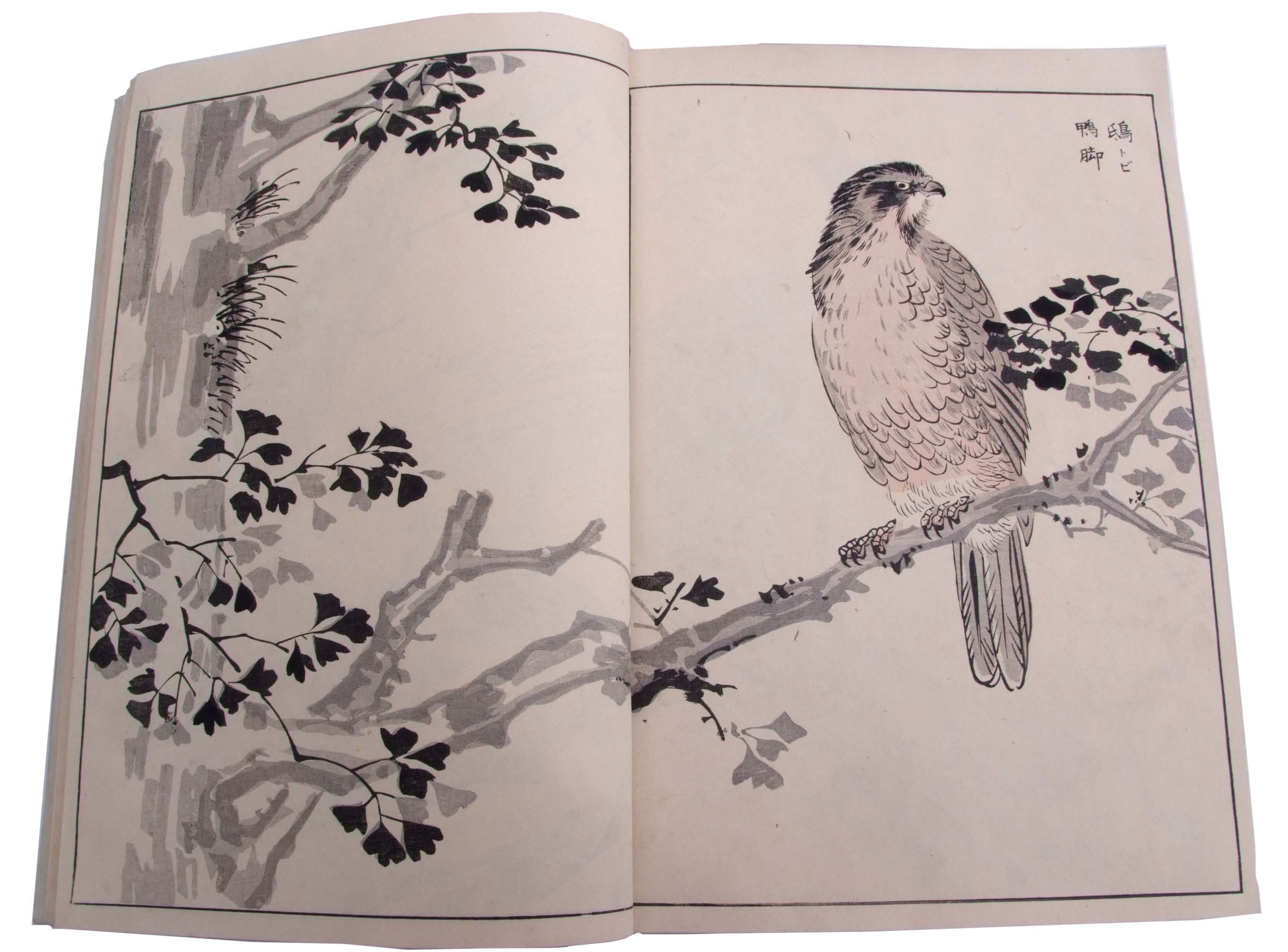 Two Japanese sketchbooks of woodblock prints, one mainly of birds and cranes in floral settings or