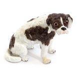 Fine Meissen model of a Bolognese Terrier, modelled by J J Kaendler, the animal sits on its haunches