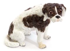 Fine Meissen model of a Bolognese Terrier, modelled by J J Kaendler, the animal sits on its haunches