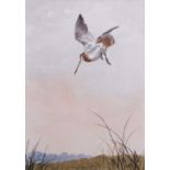 AR John Cyril Harrison (1898-1985) "Snipe dropping to alight" watercolour, signed lower right, 33