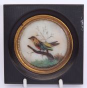 Mid-19th century mixed media miniature of a feathered bird on a tree stump within a gilt bezel and