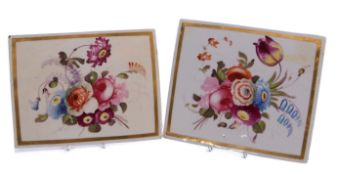 Pair of mid-19th century English porcelain plaques, possibly Derby, both finely painted with