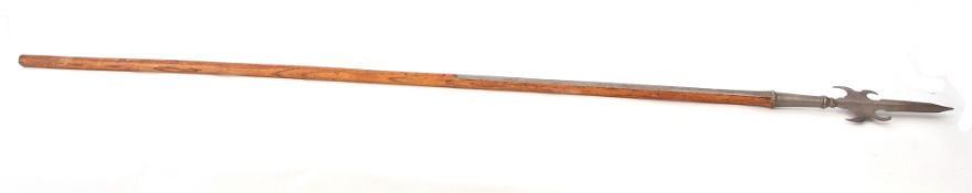 Late 18th/early 19th century spontoon with double short edged shafted blade, mounted on an ash