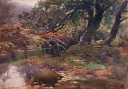 Benjamin Williams Leader, RA (1831-1923) A Woodland Stream watercolour, signed and dated 1896