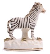 Mid-19th century Staffordshire porcelain model of a zebra standing on an oval raised white base with