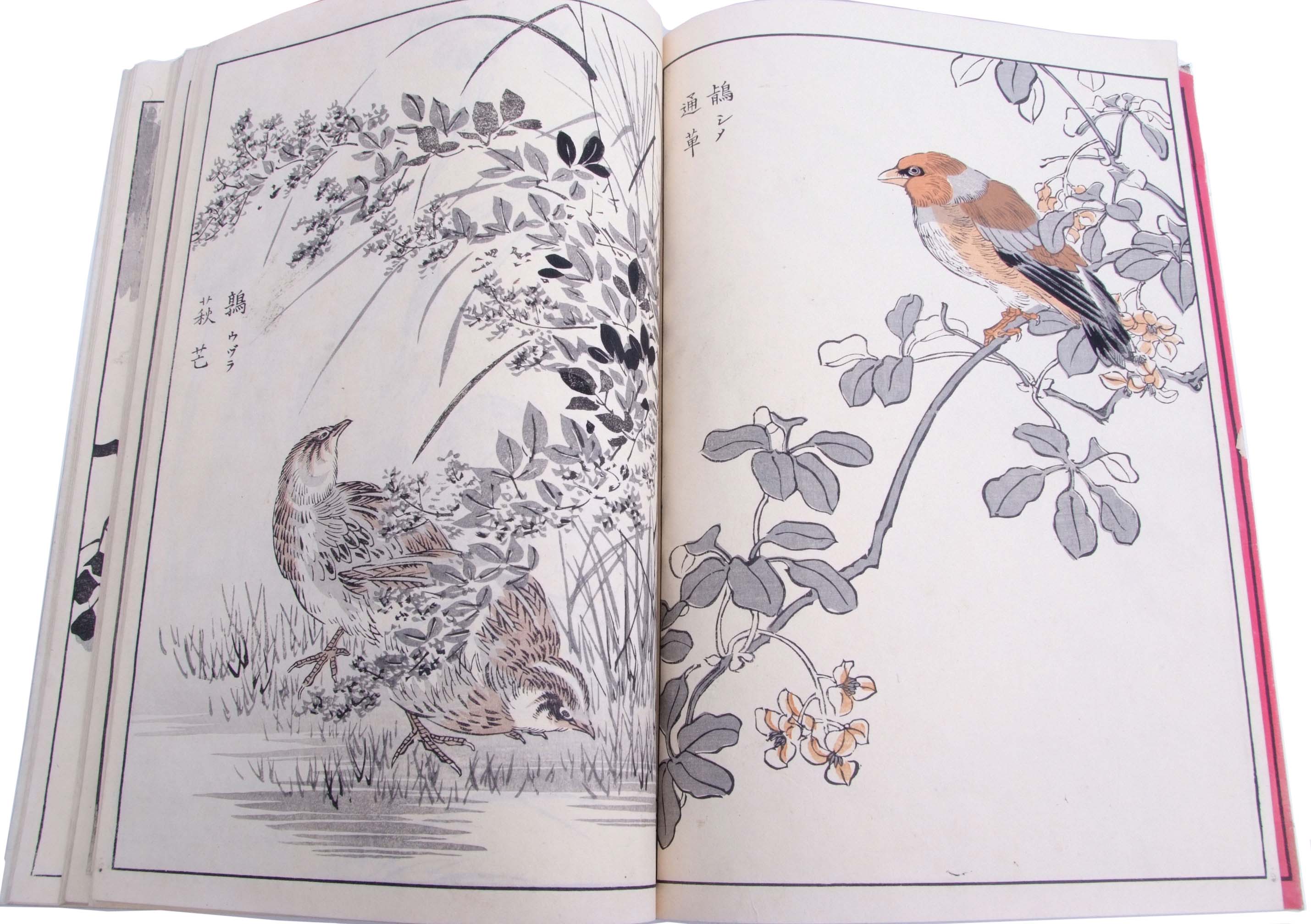 Two Japanese sketchbooks of woodblock prints, one mainly of birds and cranes in floral settings or - Image 3 of 6