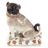 Meissen model of a pug, circa 1750, modelled by J J Kaendler, the pug with pink collar and green