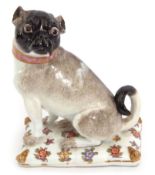 Meissen model of a pug, circa 1750, modelled by J J Kaendler, the pug with pink collar and green