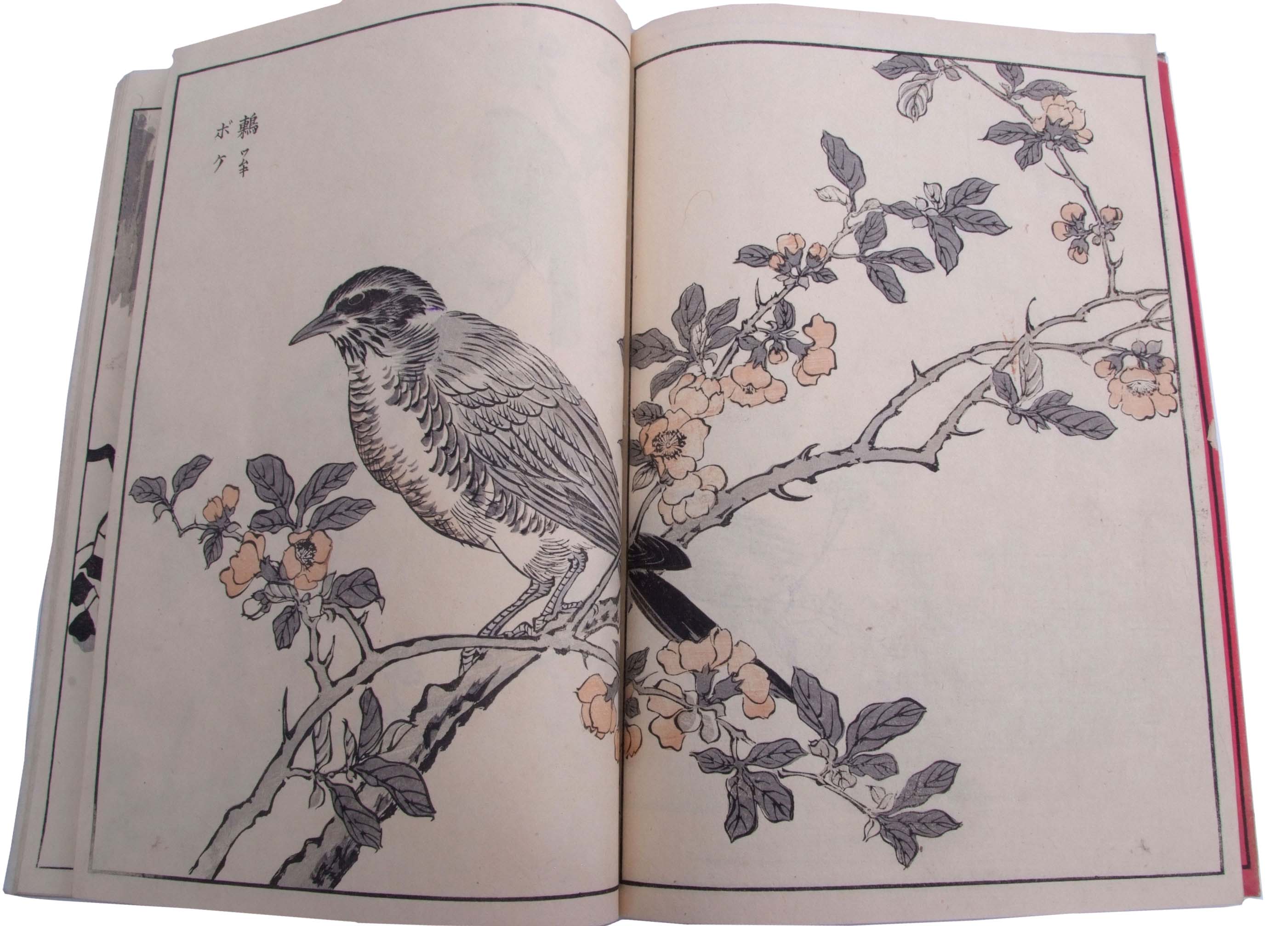 Two Japanese sketchbooks of woodblock prints, one mainly of birds and cranes in floral settings or - Image 2 of 6