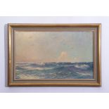 English School (19th/20th century) Seascape with seagulls oil on canvas, 36 x 59cm