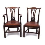 Set of twelve mahogany Chippendale style dining chairs comprising two carvers and ten single chairs,