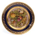 Fine early 19th century Paris (D'Arte) porcelain plate, the centre finely painted with shells and