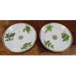 Two Swansea porcelain botanical plates, possibly painted by William Pollard, title in red to one