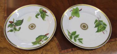 Two Swansea porcelain botanical plates, possibly painted by William Pollard, title in red to one