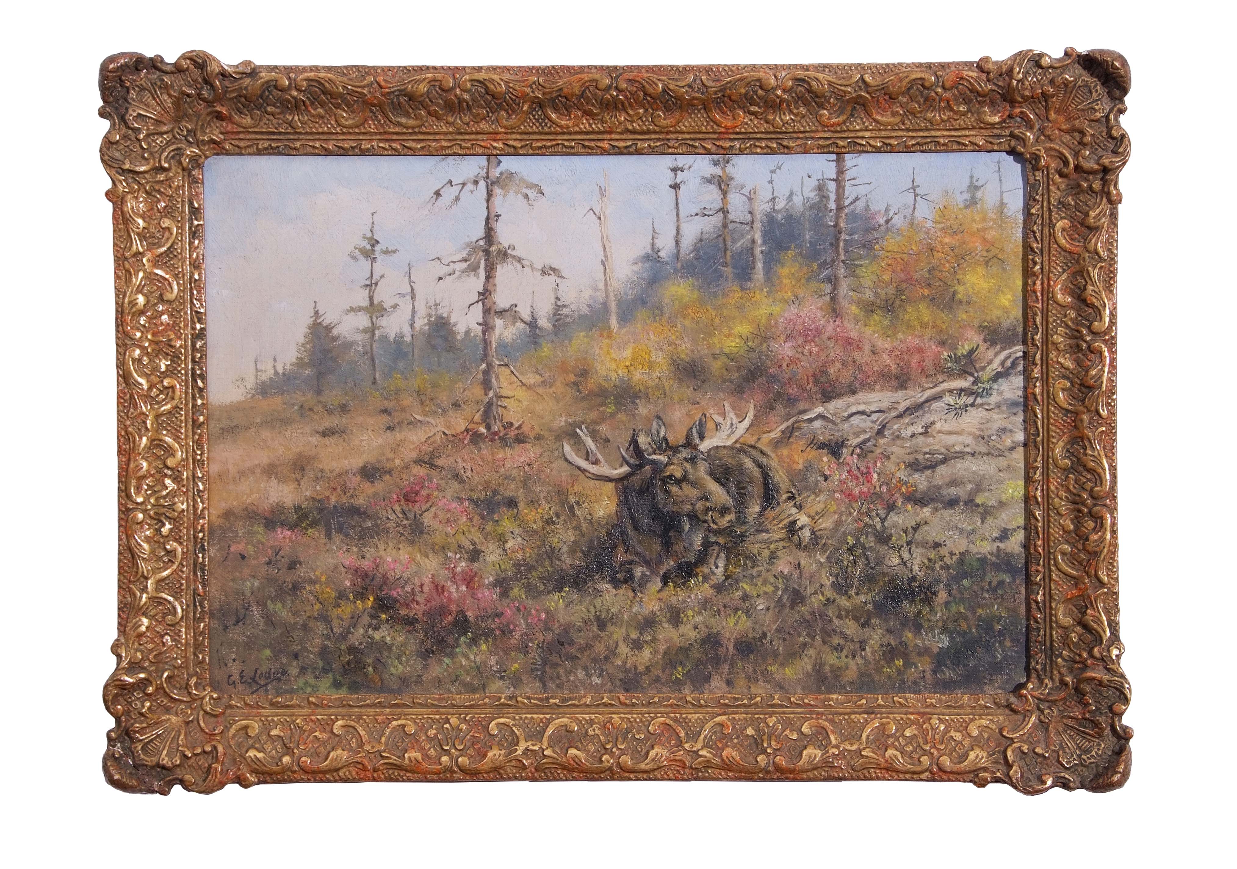 AR George Edward Lodge (1860-1954) "Norwegian Elk" oil on board, signed lower left, 30 x 45cm