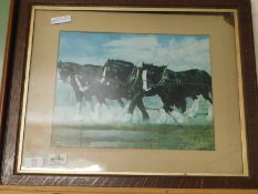 PICTURE OF A HEAVY HORSES