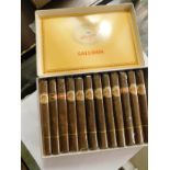 BOXED SET OF 25 CIGARS