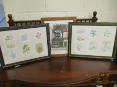 TWO FRAMED WATERCOLOURS OF PLANT AND FLORAL STUDIES TOGETHER WITH A FRAMED WATERCOLOUR OF ANNA