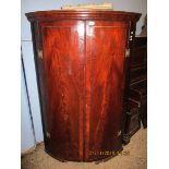 GOOD QUALITY 19TH CENTURY MAHOGANY LARGE BOW FRONTED CORNER CUPBOARD