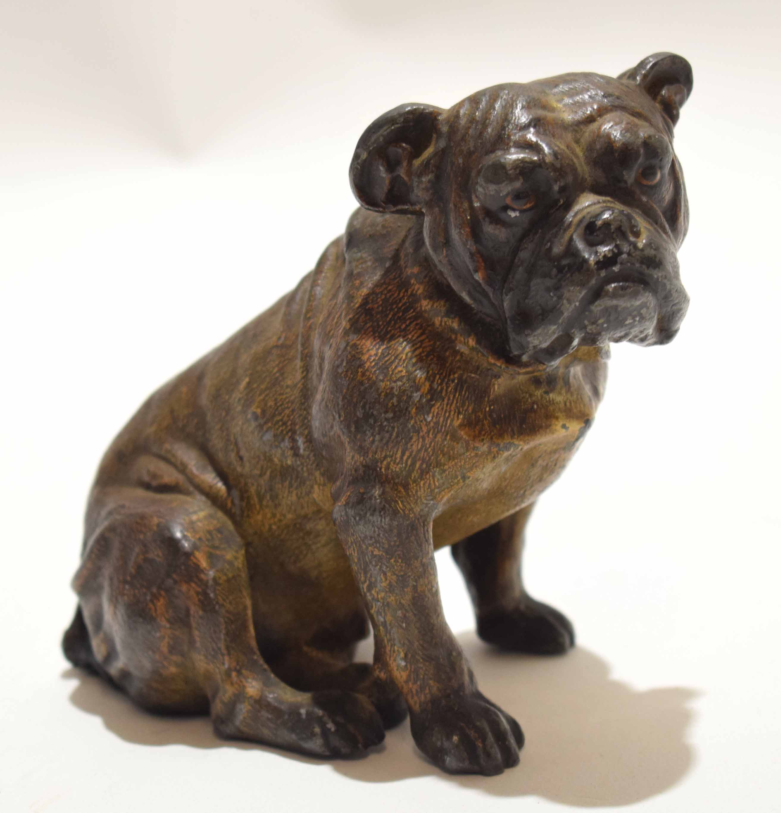 Early 20th century bronzed spelter cold painted model of a bulldog, the base impressed "Austria",