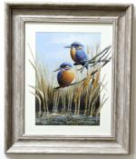 Mark Chester, signed acrylic, "Autumn Reeds - Kingfishers", 28 x 20cm