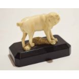 Early 20th century ivory model of a dog possibly Dieppe, on wooden base, 9cm long