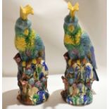 Large pair of Continental Majolica glazed cockatoos standing on branches, 50cm high (2)