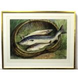 Chris Meadows, signed watercolour, "Creel of salmon and trout", 33 x 47cm