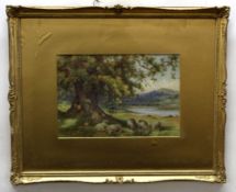 William R Hoyles, signed watercolour, "Riverside pasture, Wales", 23 x 35cm