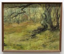 Doreen Idle, signed oil on canvas, Woodland scene, 45 x 55cm