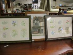 TWO FRAMED WATERCOLOURS OF PLANT AND FLORAL STUDIES TOGETHER WITH A FRAMED WATERCOLOUR OF ANNA