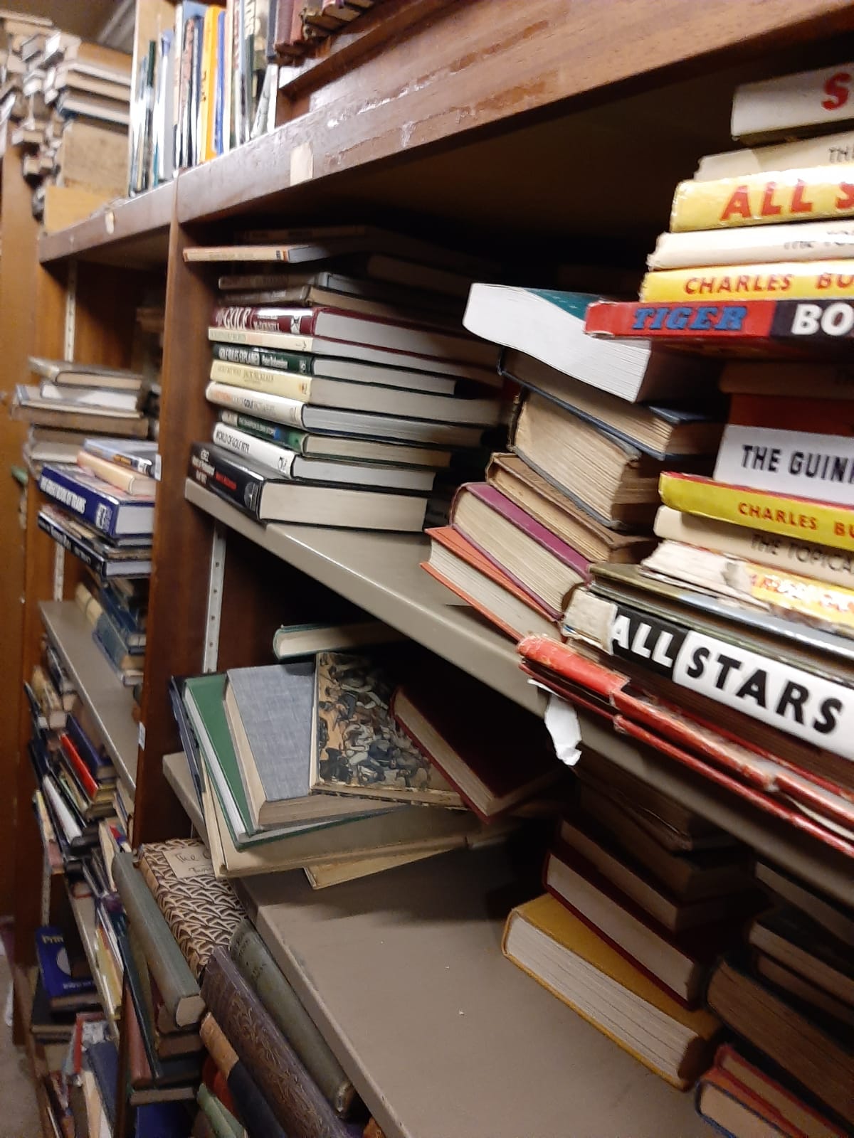 Three bookcases: each 100 width, 175 height